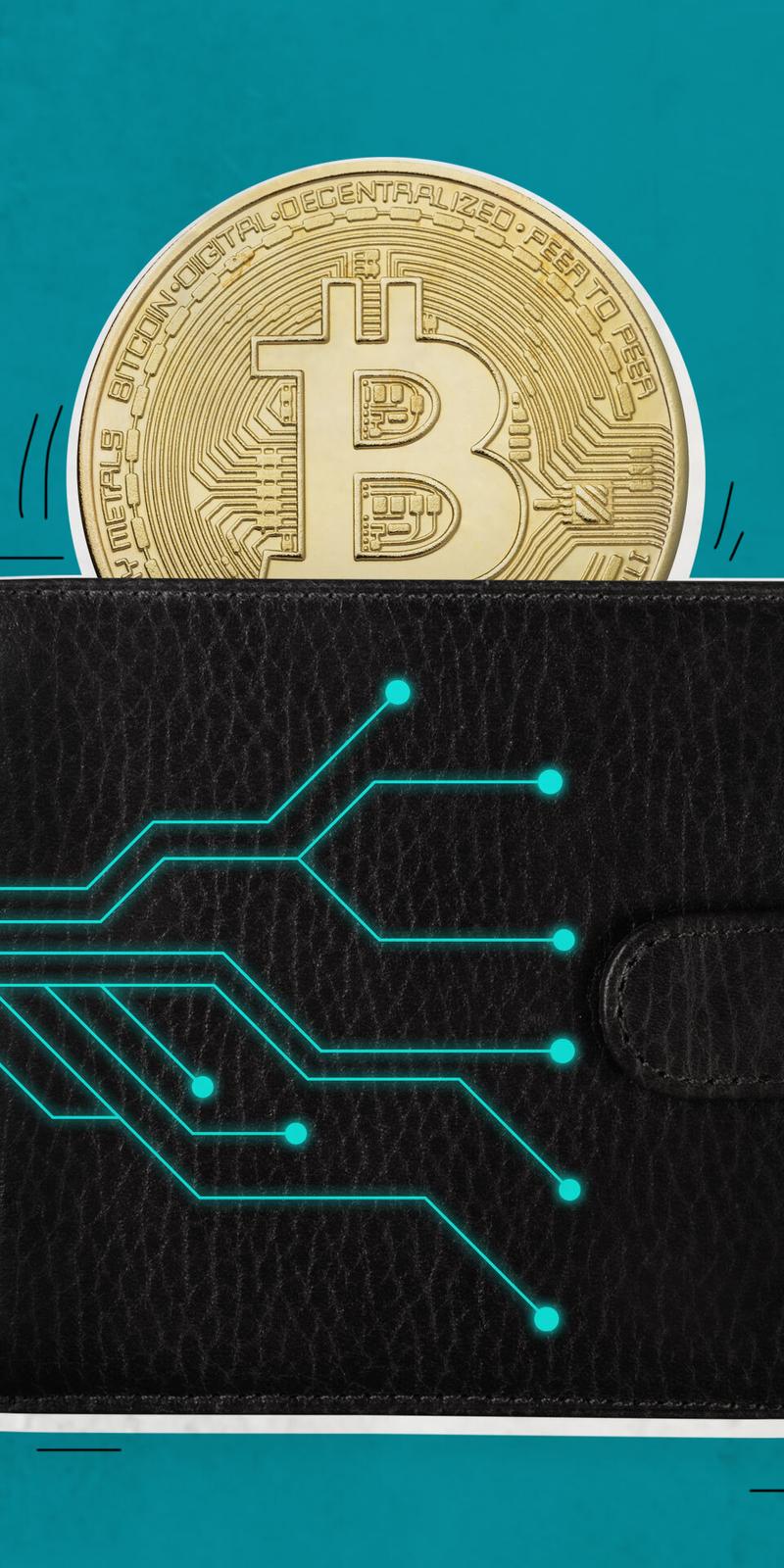 most secure crypto wallet